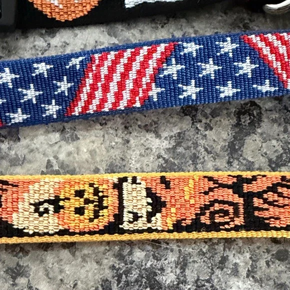 21 Vibrant Multicolor Dog Collars used